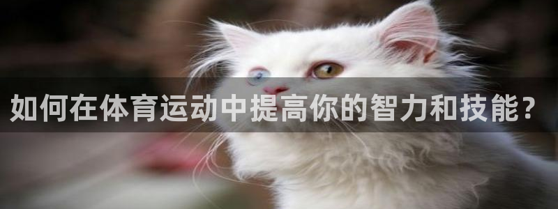 k1体育十年品牌值得信赖网址：如何在体育运动中提高你的智力和技能？