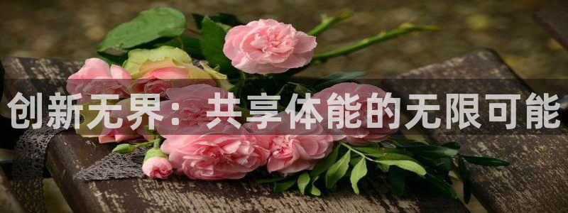 k1体育十年品牌值得信赖网址：创新无界：共享体能的无限可能