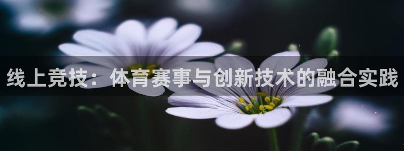 k1体育app下载：线上竞技：体育赛事与创新技术的融合实践