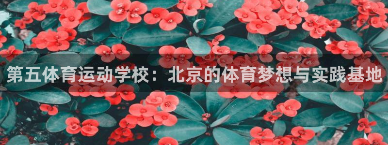 k1体育娱乐：第五体育运动学校：北京的体育梦想与实践基地