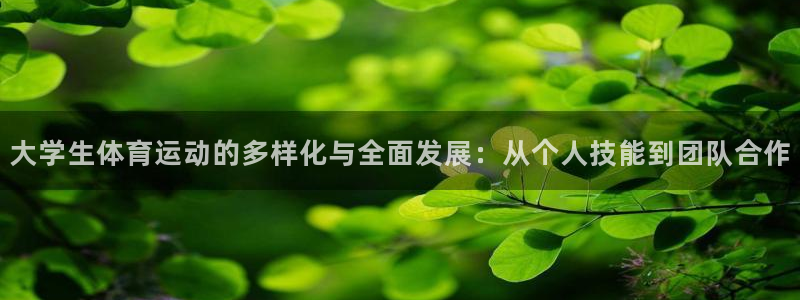k1体育平台3915：大学生体育运动的多样化与全面发展：从个人技能到团队合作