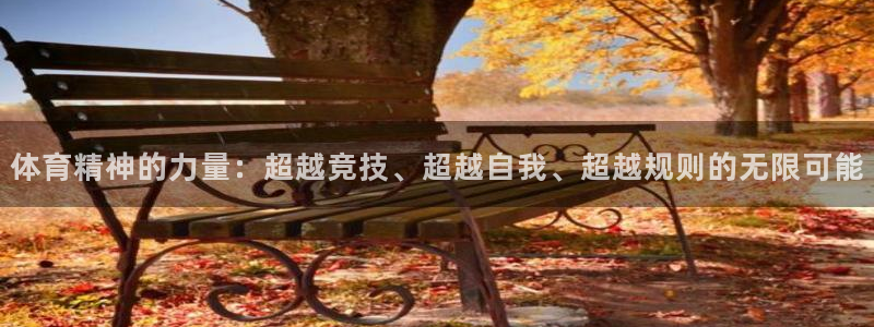 k1体育棋牌网址：体育精神的力量：超越竞技、超越自我、超越规则的无限可能