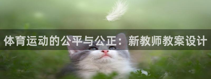 k1体育平台3915：体育运动的公平与公正：新教师教案设计