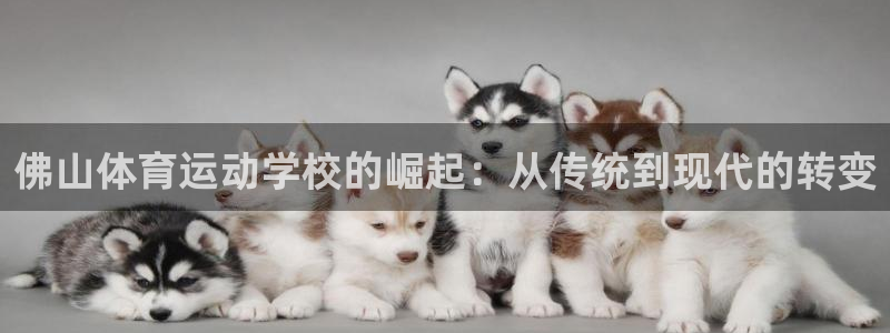 k1体育十年品牌官网：佛山体育运动学校的崛起：从传统到现代的转变