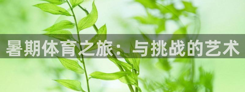 k1体育平台最新网站下载：暑期体育之旅：与挑战的艺术