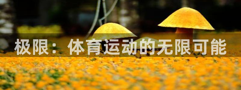 k1体育下载地址：极限：体育运动的无限可能
